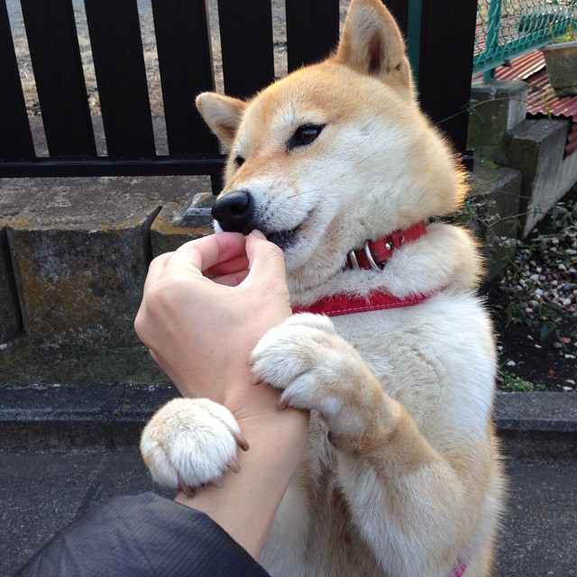 kaiyun登录入口-“基层足球振兴工程持续推进,普及基层青训”,足球要从基层抓起