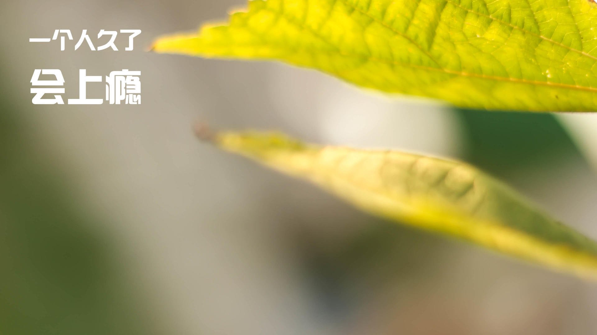 详细阅读:Kaiyun官方登录入口-《Valorant青春风暴,天才战队逆袭夺冠》 Kaiyun官方登录入口-《Valorant青春风暴,天才战队逆袭夺冠》