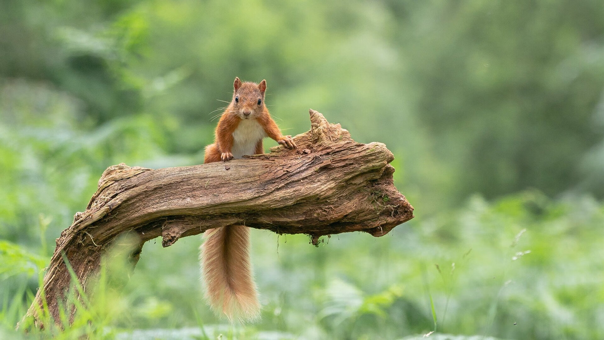 详细阅读:kaiyun官方网站-《英雄联盟中国赛区季中赛,强者争锋》,lol英雄联盟季中赛 kaiyun官方网站-《英雄联盟中国赛区季中赛,强者争锋》,lol英雄联盟季中赛