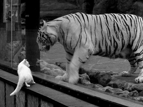 kaiyun.com-【终局规则详解】平局延长战中的最新规定