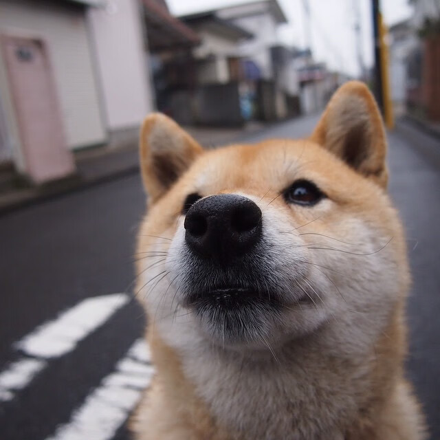 Kaiyun(中国)开云-全国青少年足球夏令营，培养未来足球之星，2020全国青少年足球夏令营怎么参加