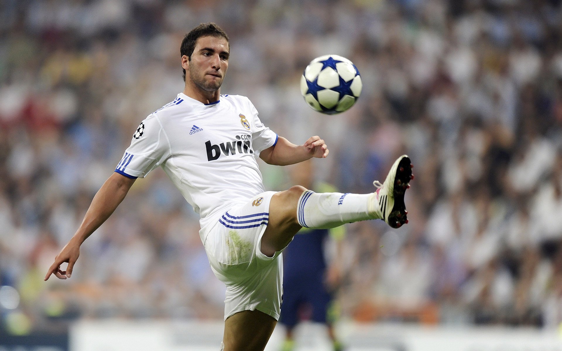 开云网页版登录入口-北京队本赛季表现出色,有望冲击冠军,北京队队员