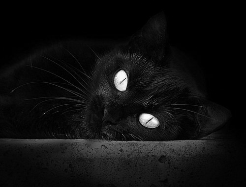 开云中国-英超:阿斯顿维拉2-0小胜伯恩茅斯,门将多次扑救贡献巨大,阿斯顿维拉主力门将