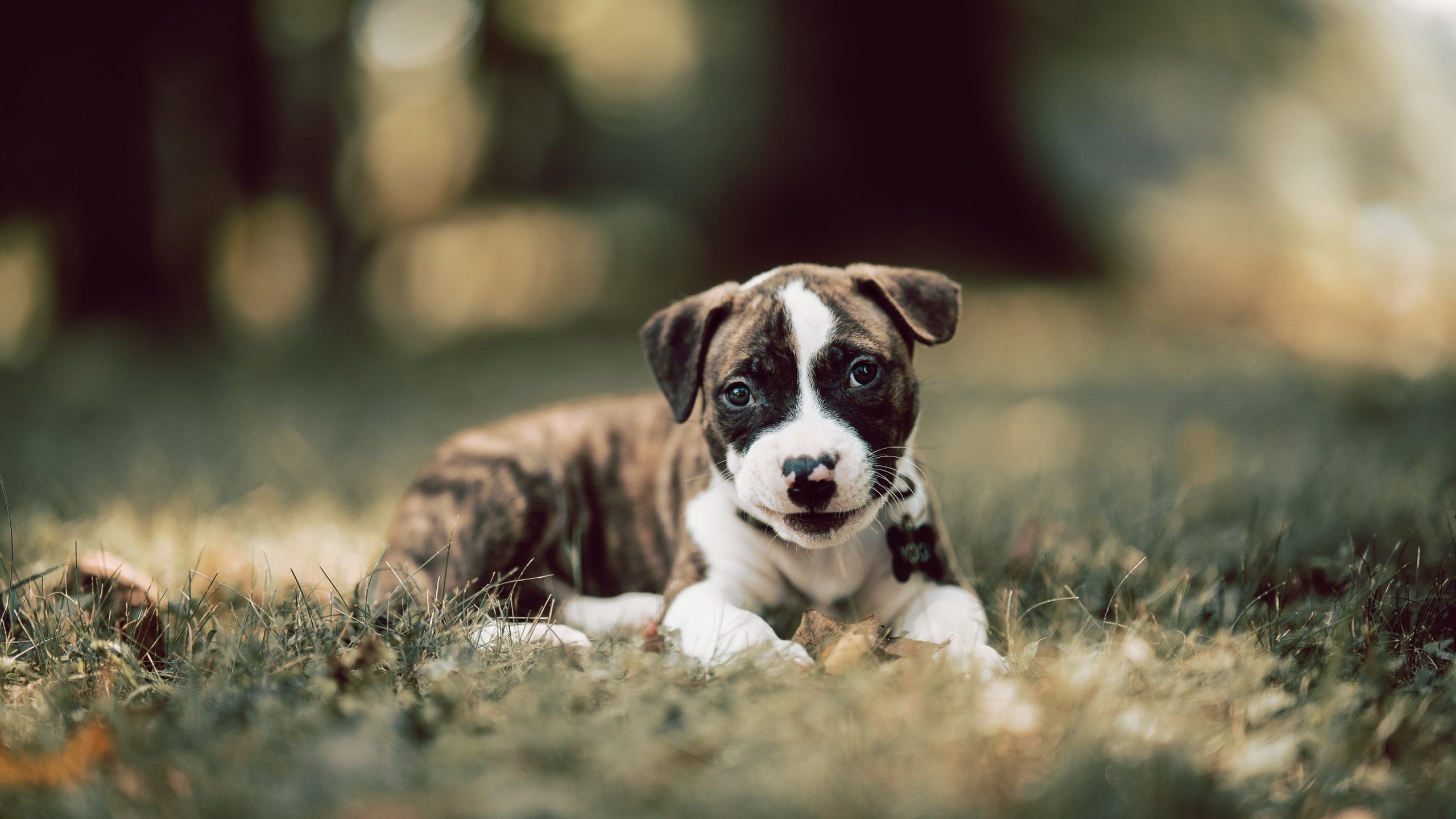 开云体育-青少年极限绳索攀爬,跃上未知的高度,绳索攀登