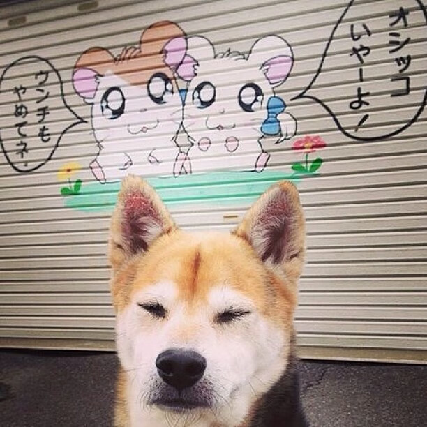 kaiyun体育app-卡塔尔俱乐部宣布引进巴西国脚,卡塔尔2022年足球