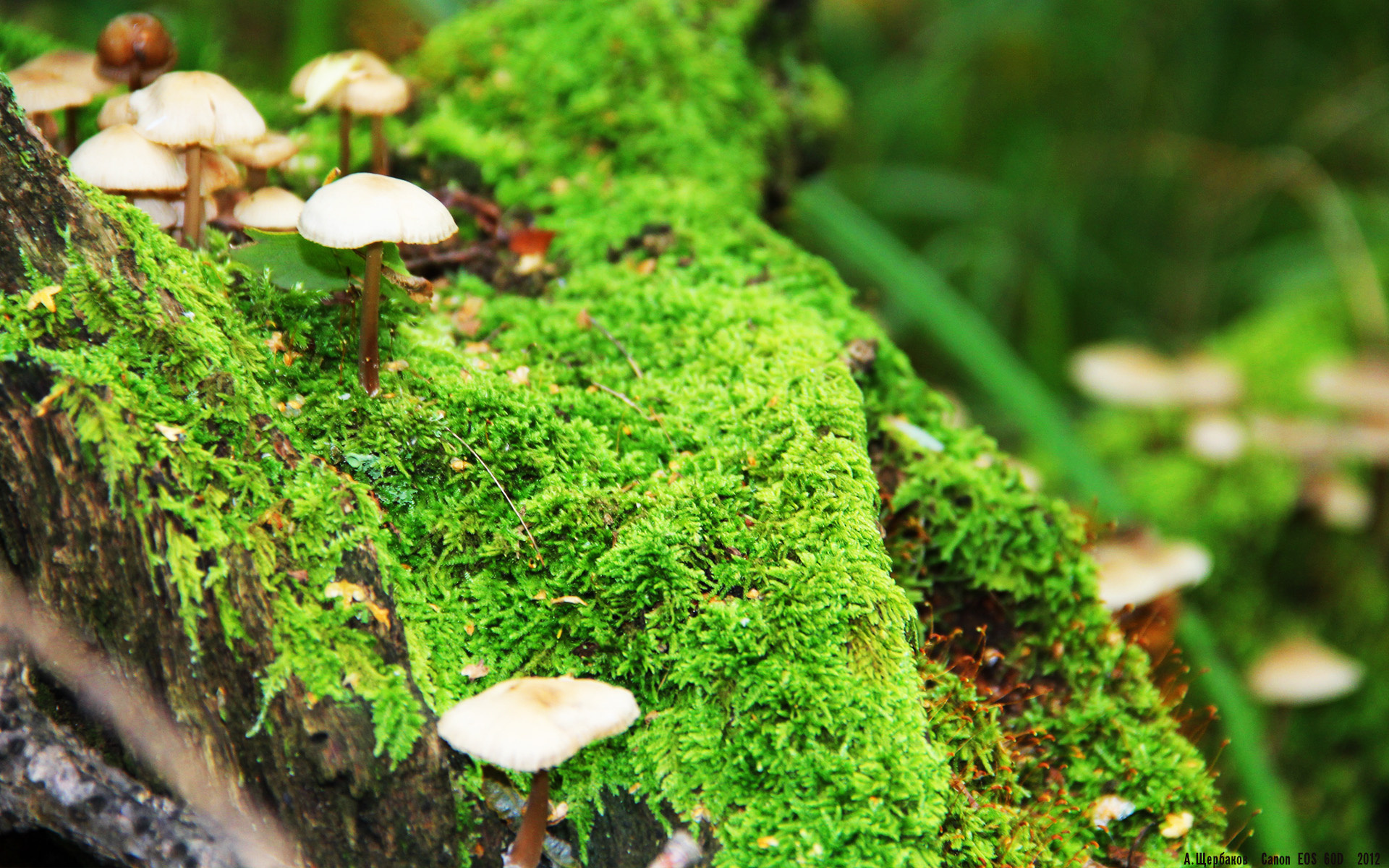 开云·Kaiyun网页版-哥伦比亚女足队稳中求胜,稳操胜券,哥伦比亚男足首发