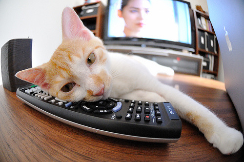 开云官网APP下载-国际篮总杯赛将启幕，参赛队伍实力均劲，国际篮联篮球比赛时间