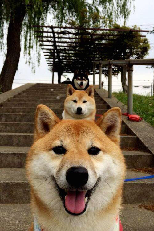 kaiyun体育综合-多特蒙德士气高涨，将迎接巴黎的挑战，多特蒙德vs巴黎集锦