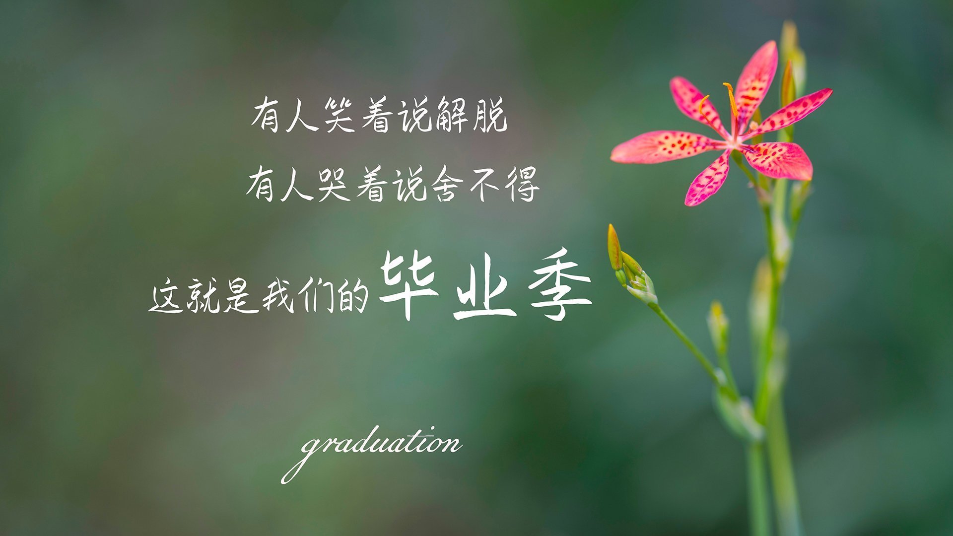 kaiyun中国官方网站-富勒姆中场调度高效,白百合盼冲击保级成功,富勒姆首发