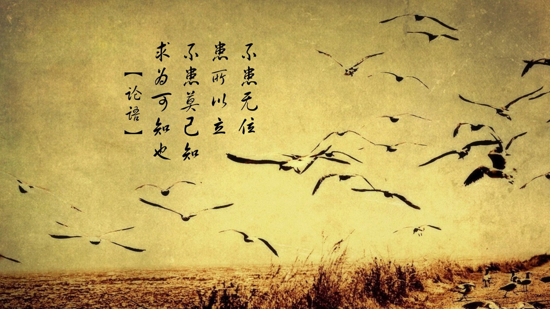 KAIYUNAPP-球队整体阵容再添新员,志在夺冠,球队更新换代