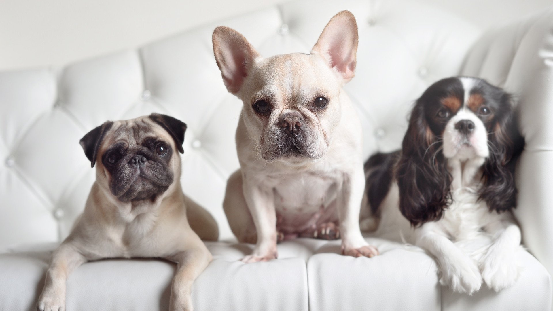 开云平台-足球传奇球员访问意大利联赛，传授经验，足球传奇球员访问意大利联赛,传授经验是什么