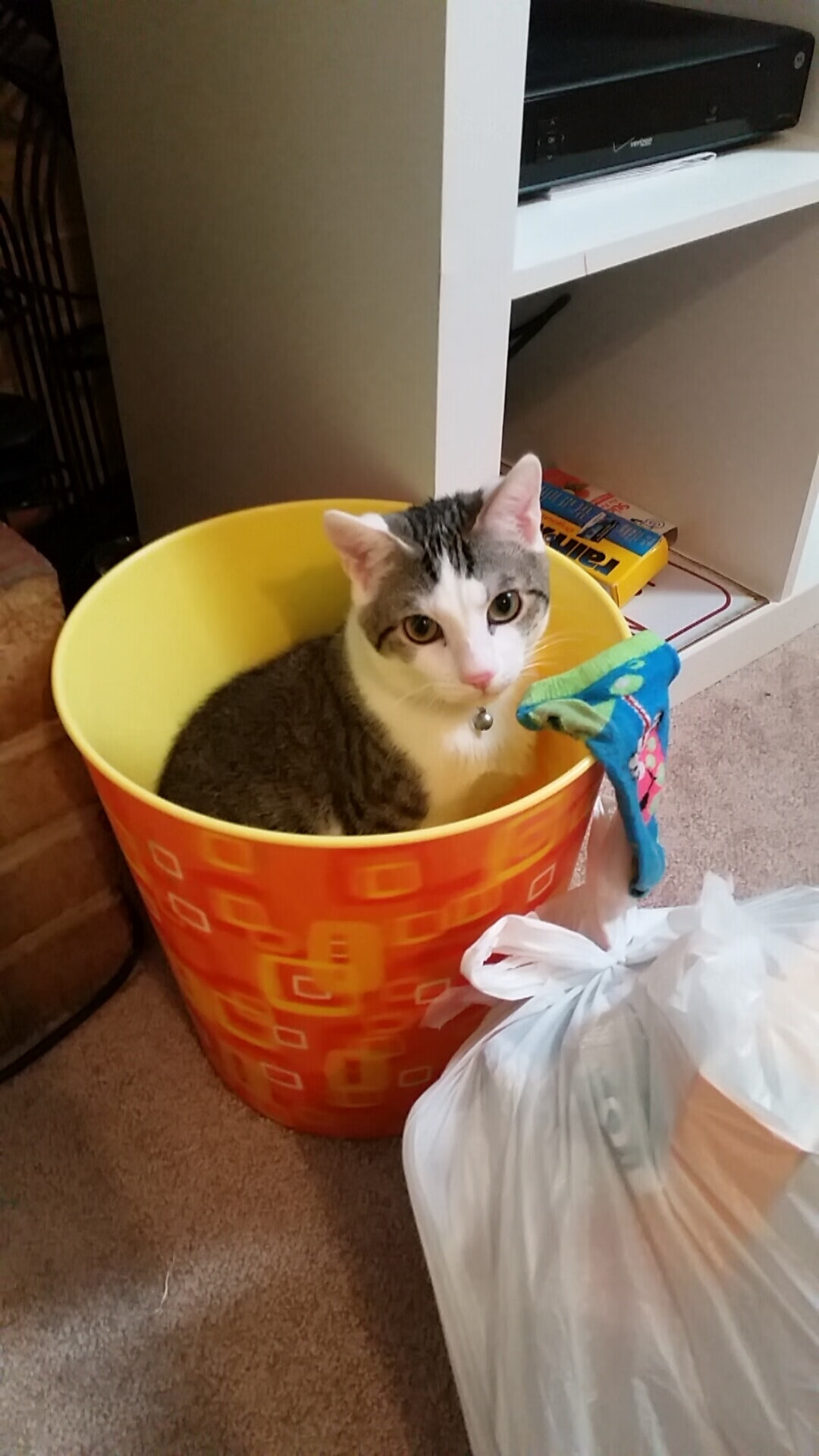 kaiyun网站-足球巨星云集,一战成名谁能胜出?,足坛第一球星