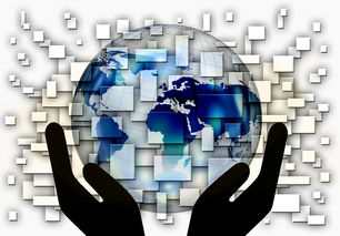 Kaiyun APP-换人策略：战术调整中的“神仙操作”案例