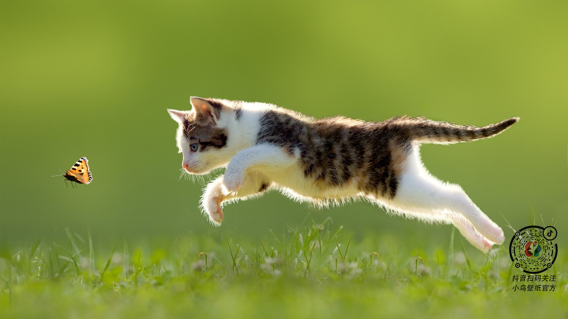 详细阅读:KAIYUN 中国大陆-逆转神剧:欧洲赛场上的经典翻盘瞬间,欧洲比赛视频 KAIYUN 中国大陆-逆转神剧:欧洲赛场上的经典翻盘瞬间,欧洲比赛视频