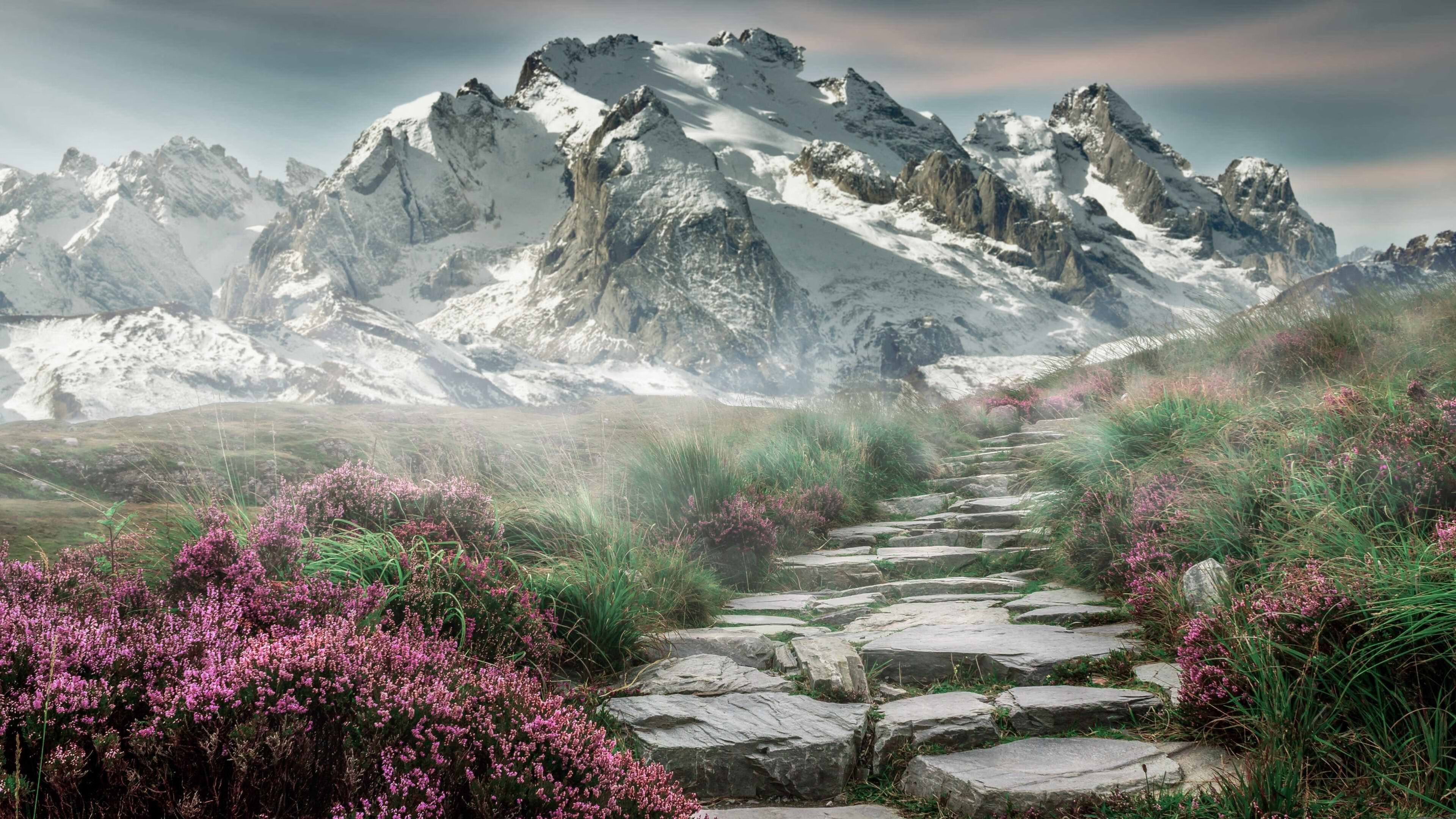 kaiyun.com-“阿仙奴攻势强劲,热刺能否挡住?”