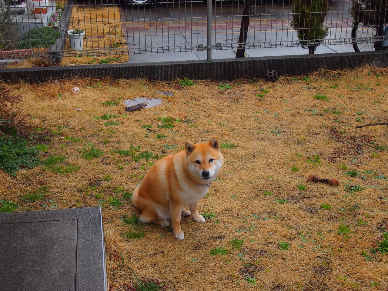 详细阅读:开云·体育官网APP下载-世界杯激情战:团队合作中的闪光时刻,世界杯超燃视频 开云·体育官网APP下载-世界杯激情战:团队合作中的闪光时刻,世界杯超燃视频