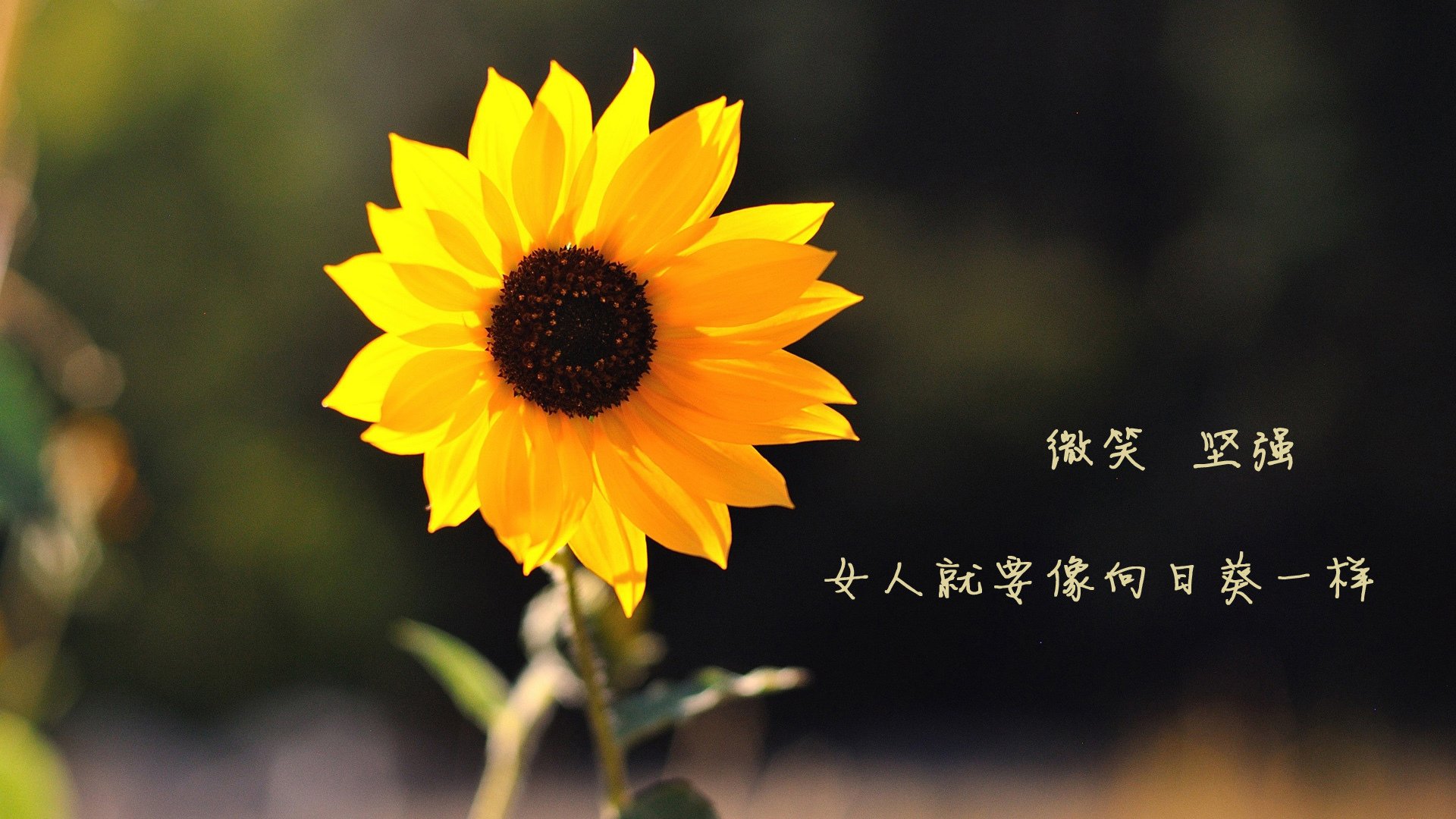 详细阅读:kaiyun登录入口-中超联赛数据分析师成为球队后勤核心岗位,中超数据网 kaiyun登录入口-中超联赛数据分析师成为球队后勤核心岗位,中超数据网