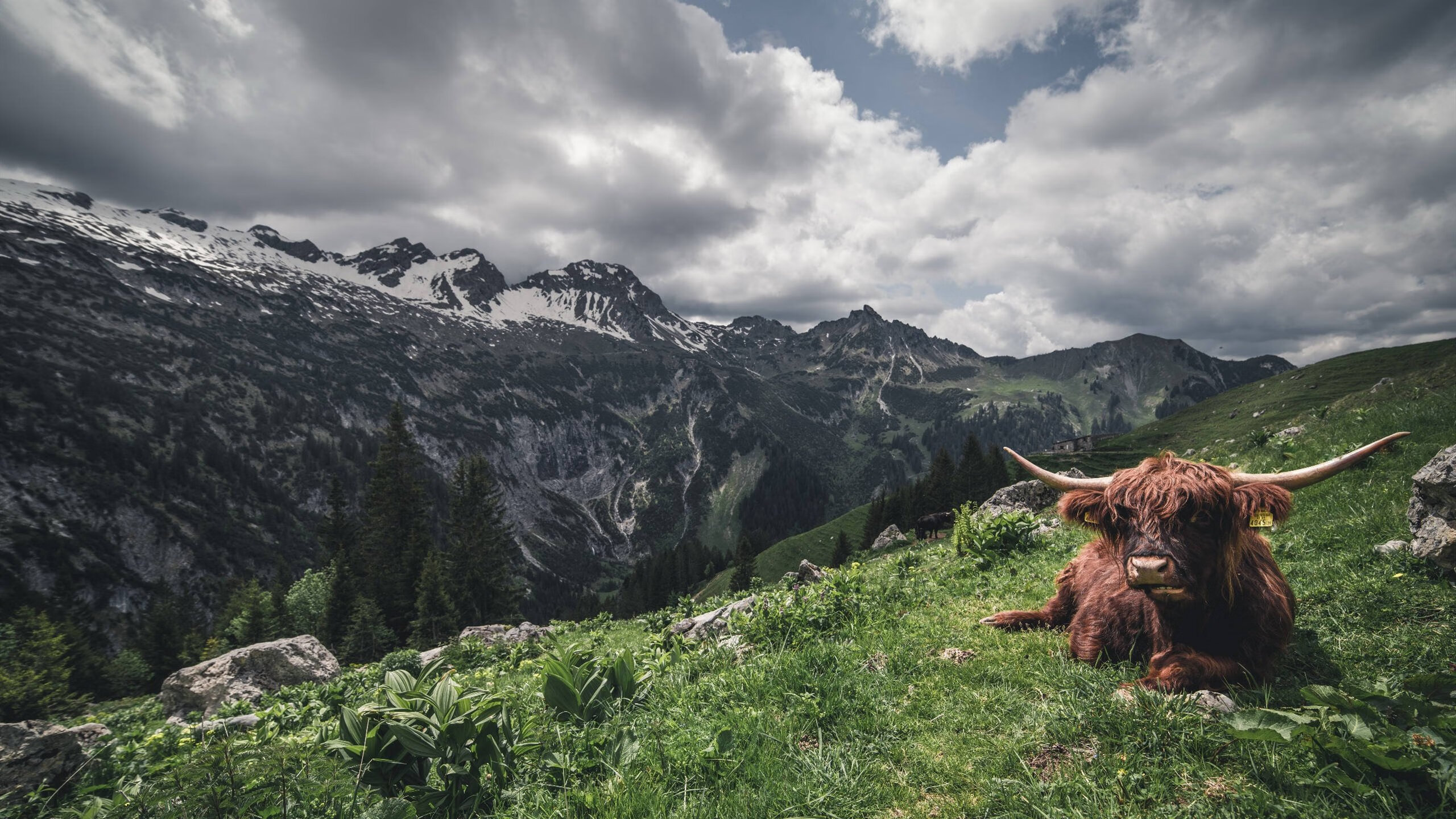 详细阅读:Kaiyun APP-体育新闻中心通报全国青少年综合体能测试新成果,青少年体能大赛 Kaiyun APP-体育新闻中心通报全国青少年综合体能测试新成果,青少年体能大赛