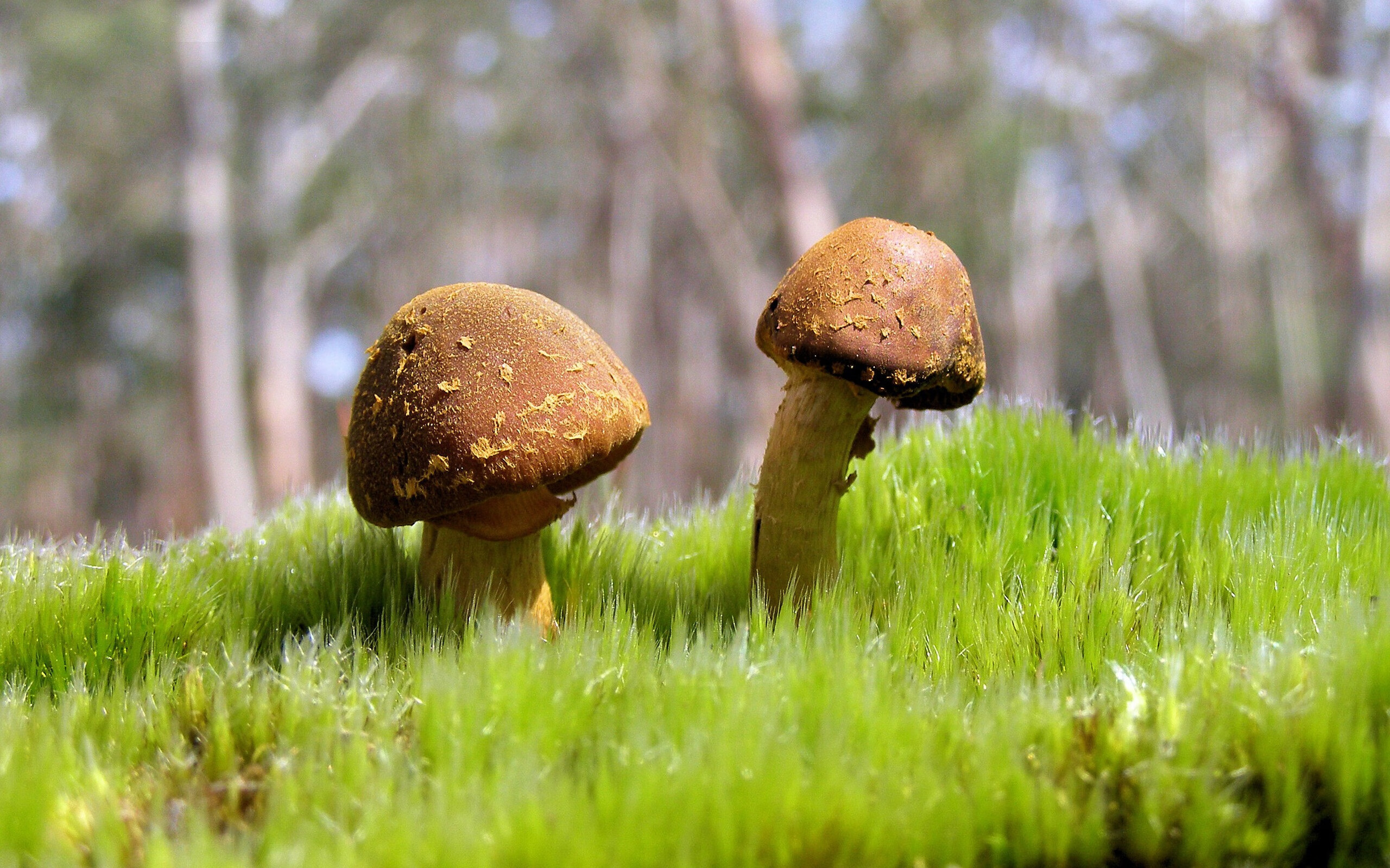 开云·体育官网-张雨霏目标直指巴黎奥运会领奖台，张雨霏已入账4枚奥运奖牌