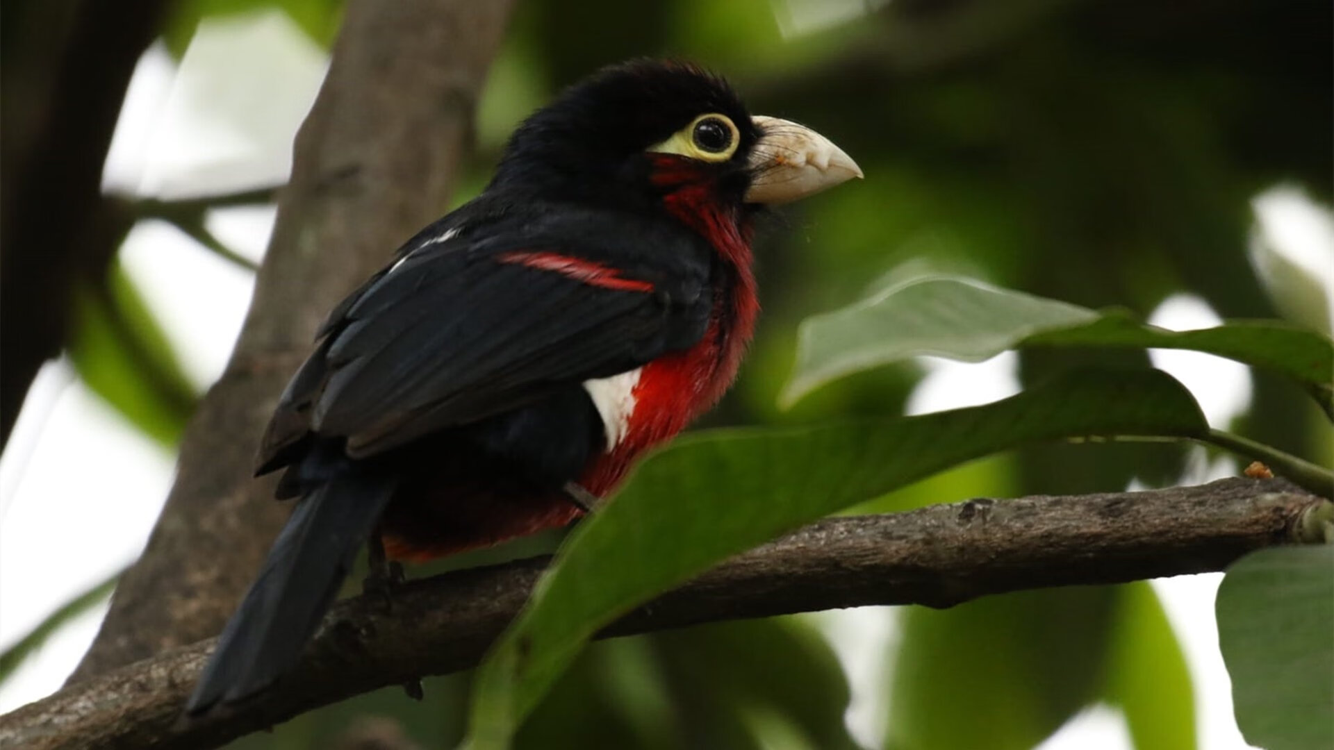 王宗源冲线瞬间引爆现场气氛,王宗源帅气